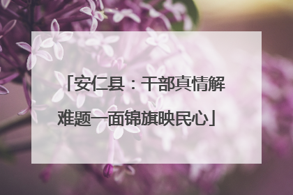 安仁县：干部真情解难题一面锦旗映民心